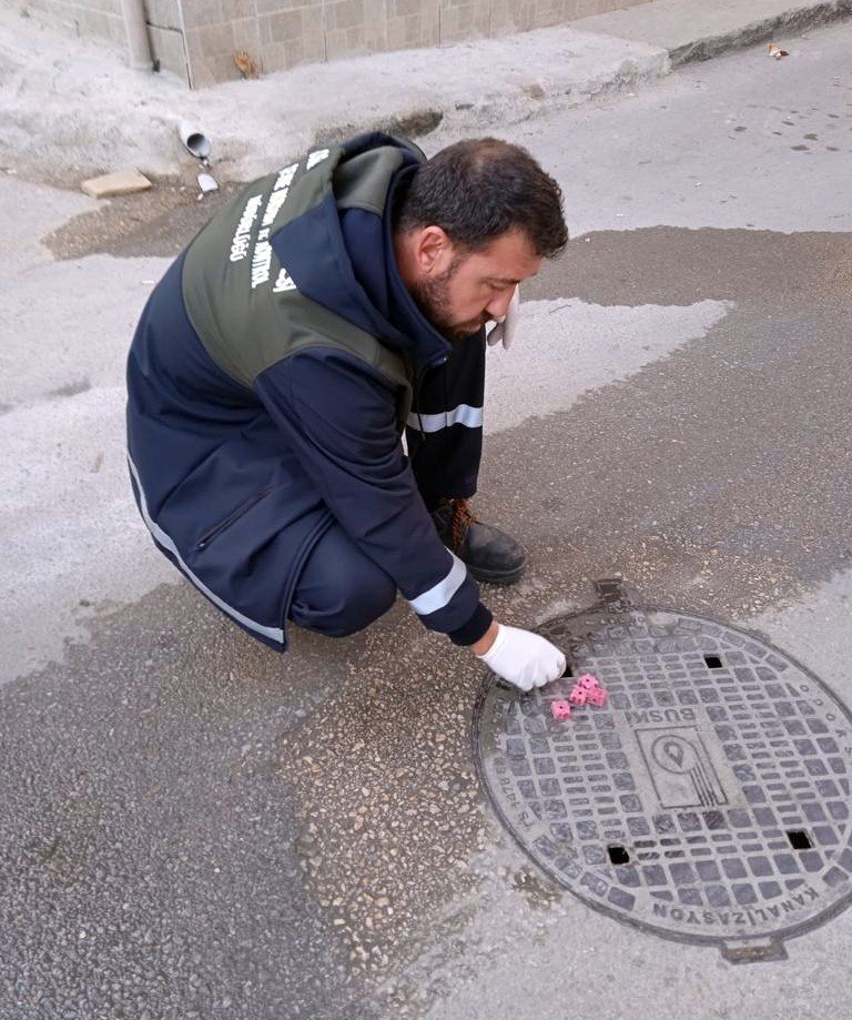 Haşerelere karşı ilaçlama yapıldı