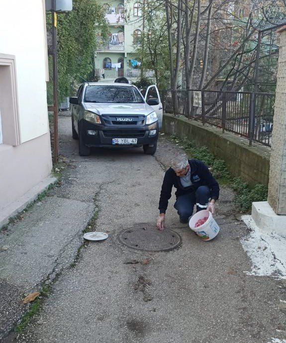 Haşerelere karşı ilaçlama yapıldı