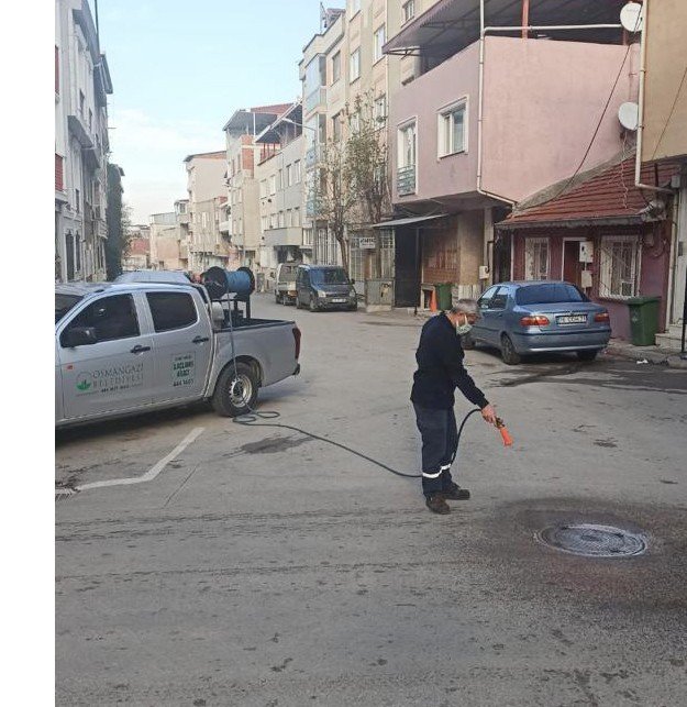 Haşerelere karşı ilaçlama yapıldı