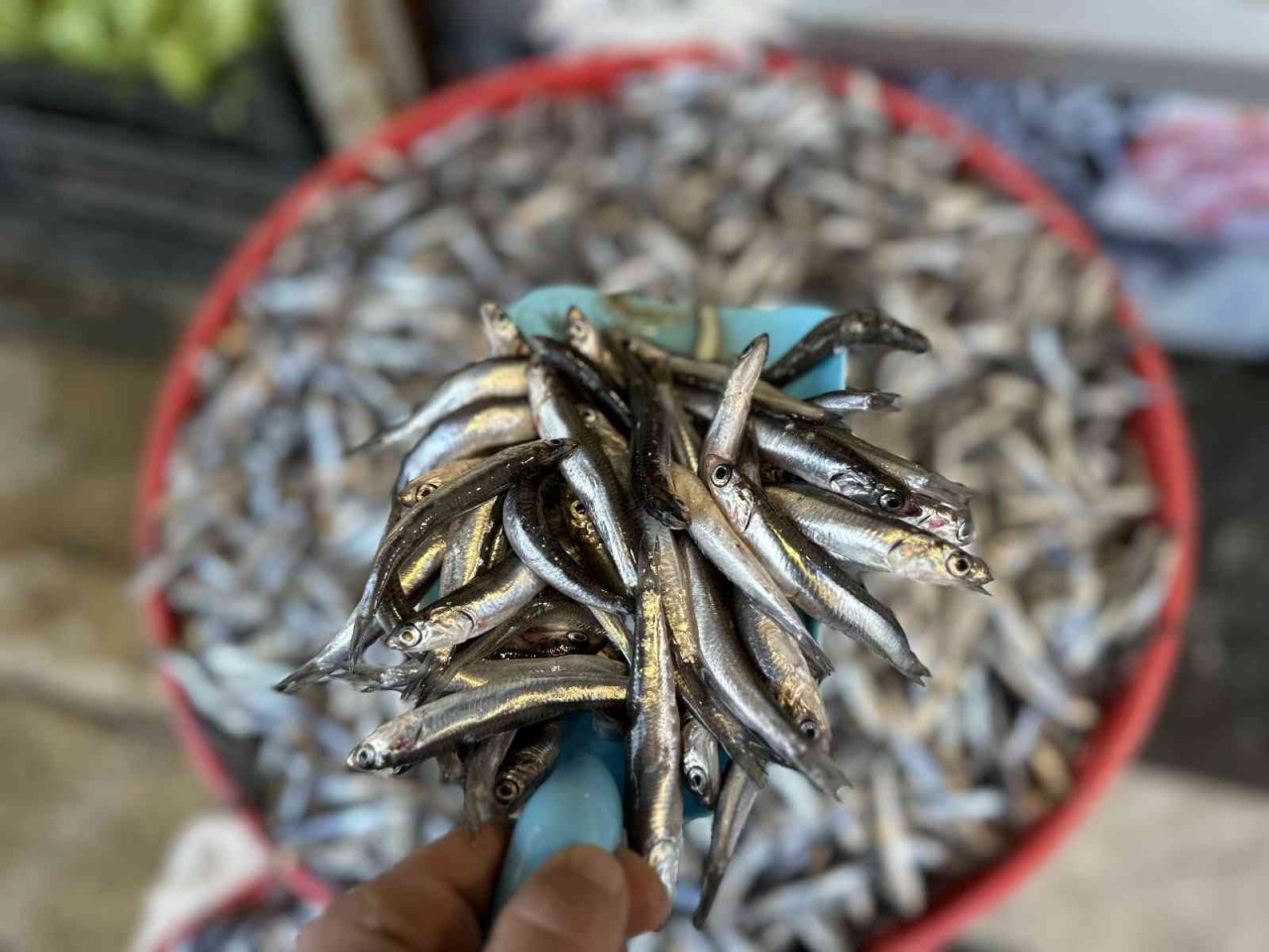 Tezgahın en ucuzu "tirsi" oldu