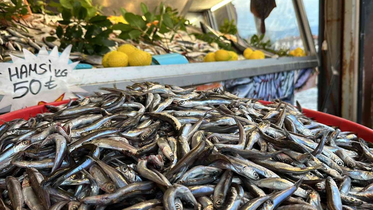 Tezgahın en ucuzu "tirsi" oldu