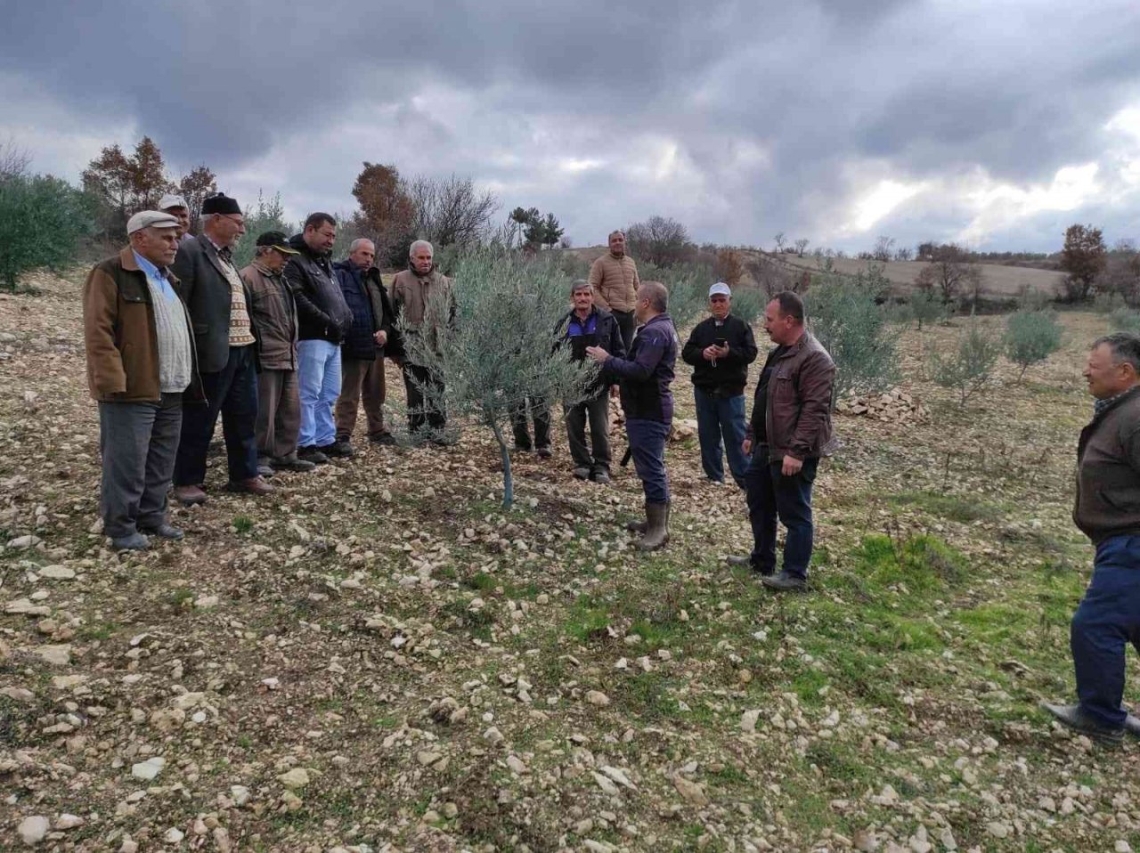 Kurum müdürü vatandaşlara ağaç budamasını öğretiyor