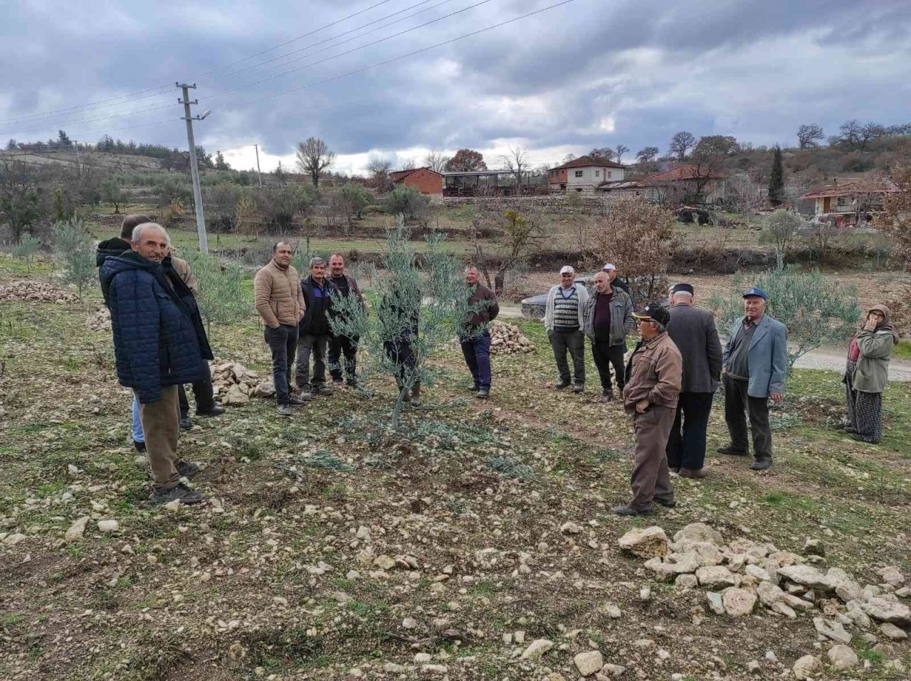 Kurum müdürü vatandaşlara ağaç budamasını öğretiyor