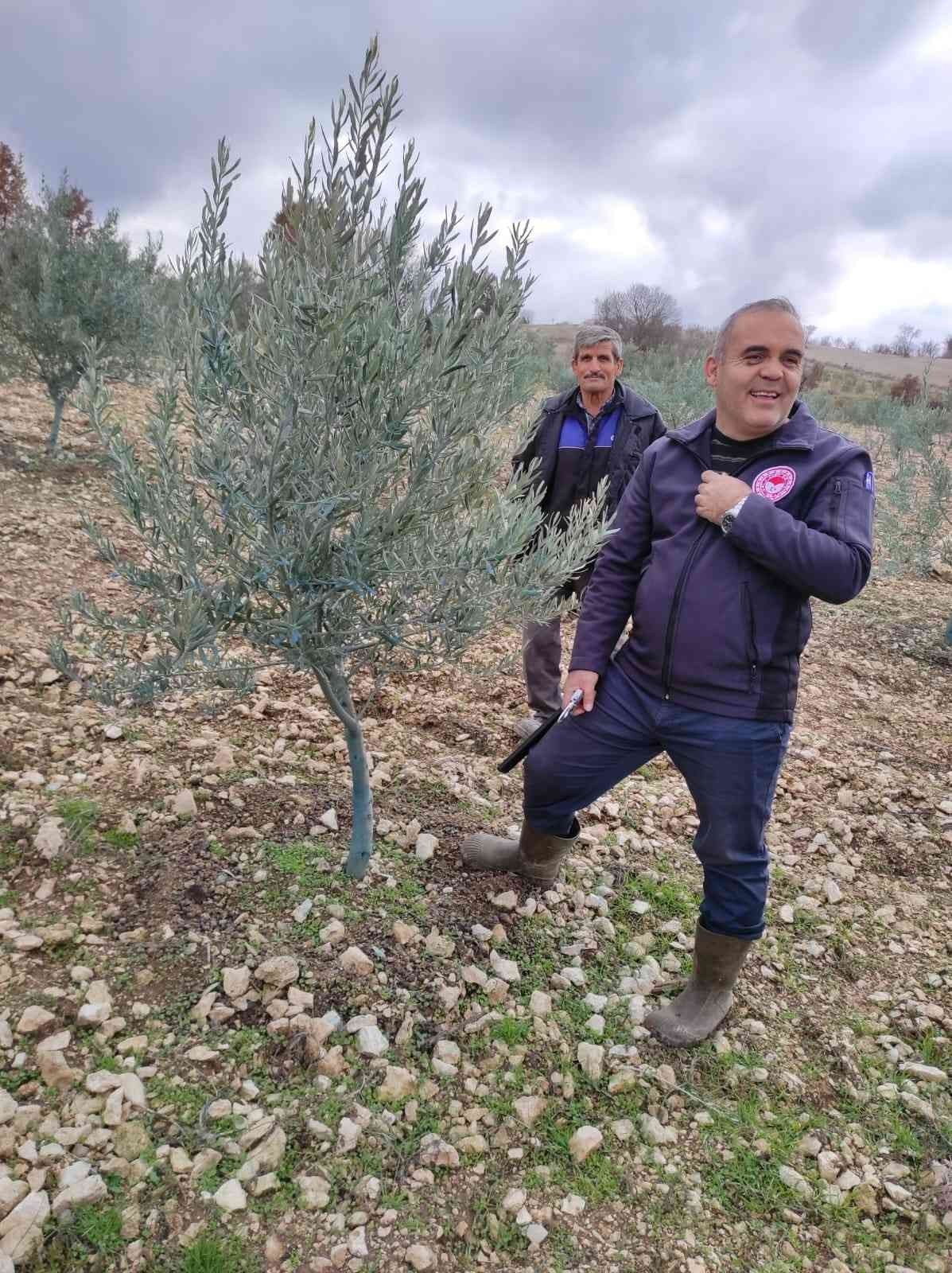 Kurum müdürü vatandaşlara ağaç budamasını öğretiyor