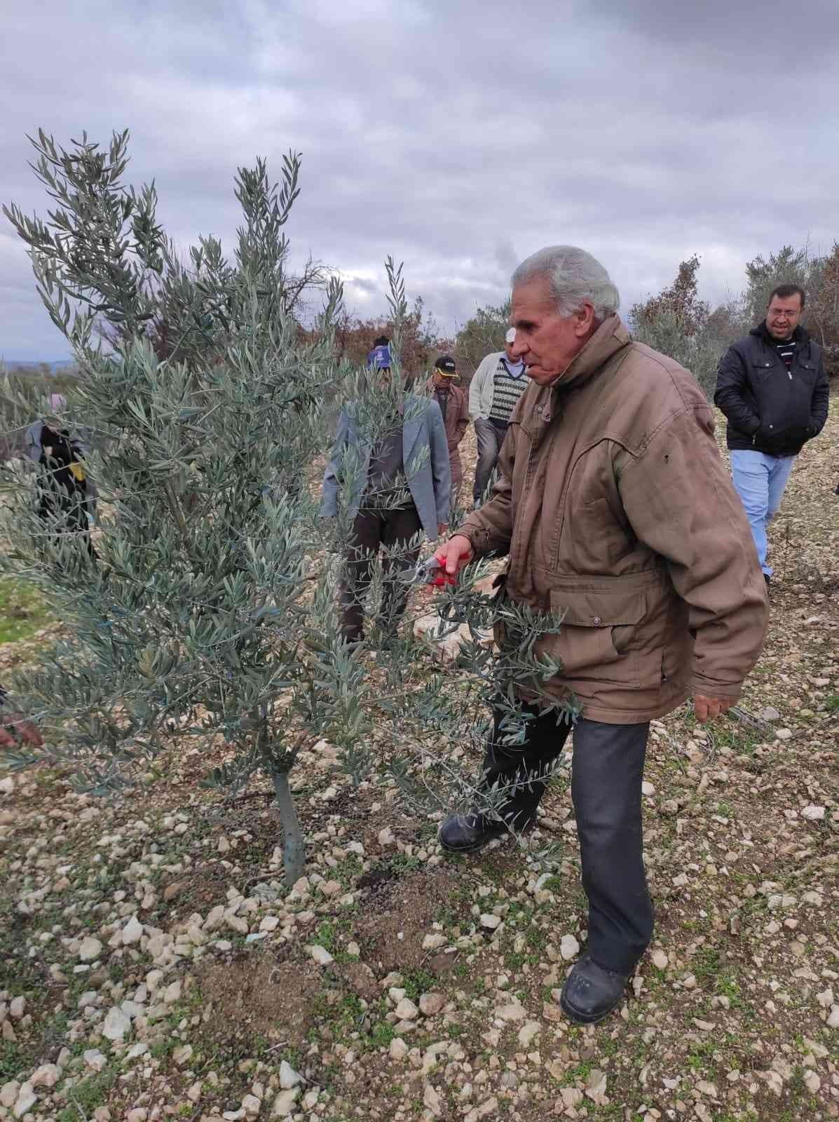 Kurum müdürü vatandaşlara ağaç budamasını öğretiyor