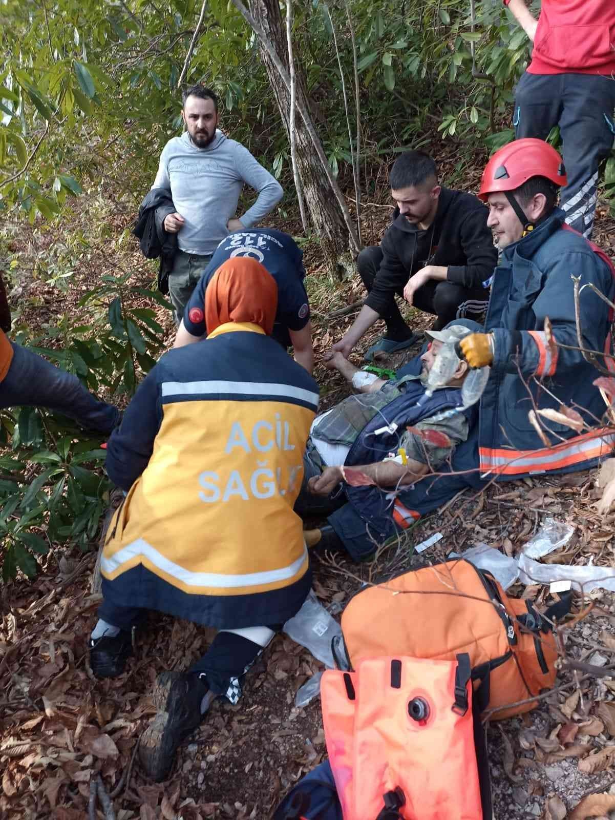 Kestikleri ağacın altında kaldılar