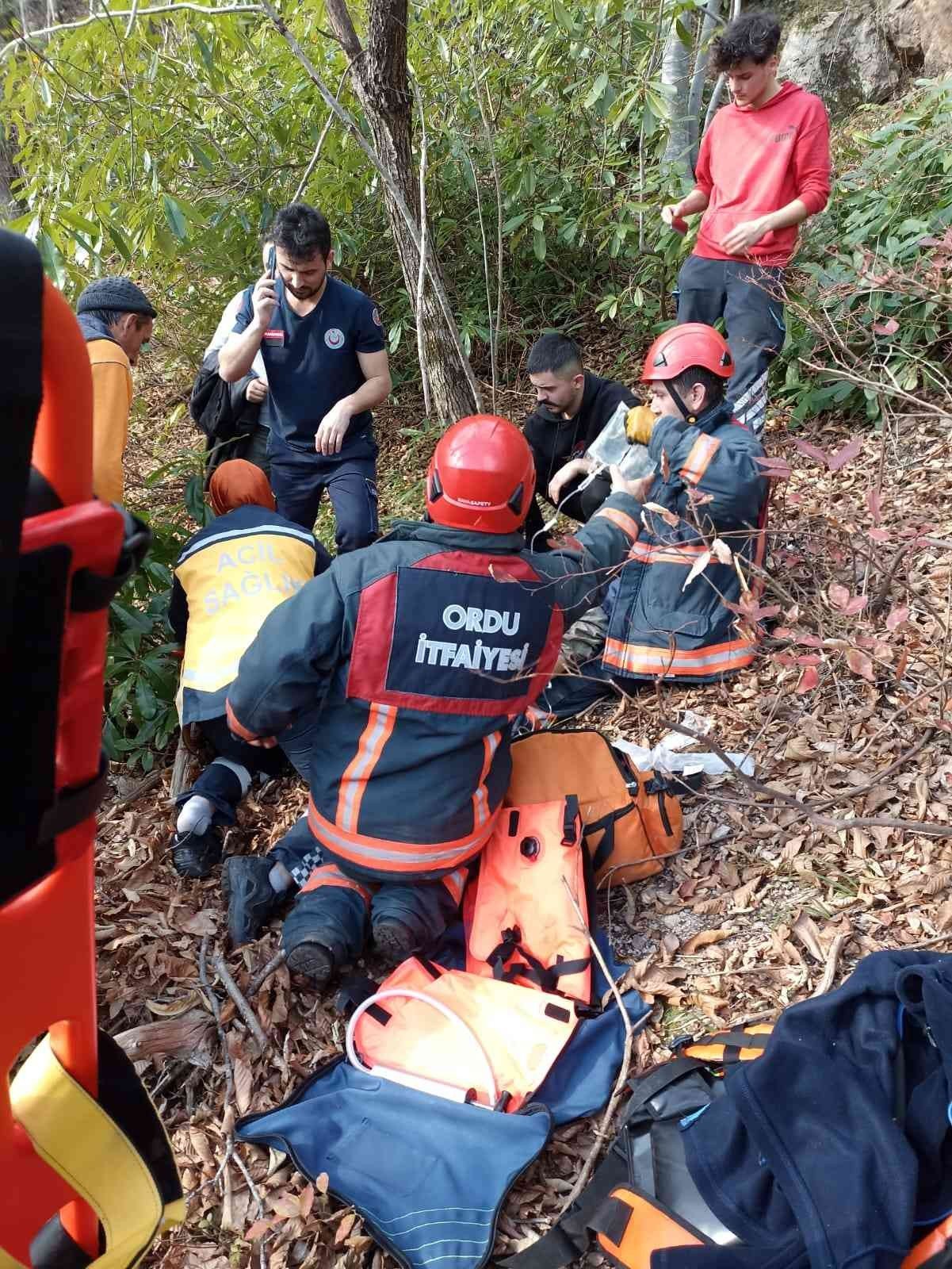 Kestikleri ağacın altında kaldılar