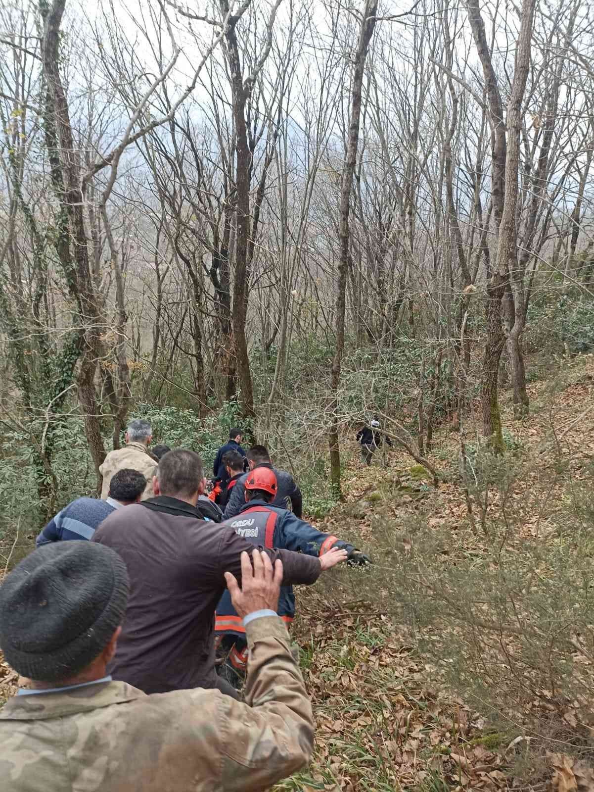 Kestikleri ağacın altında kaldılar
