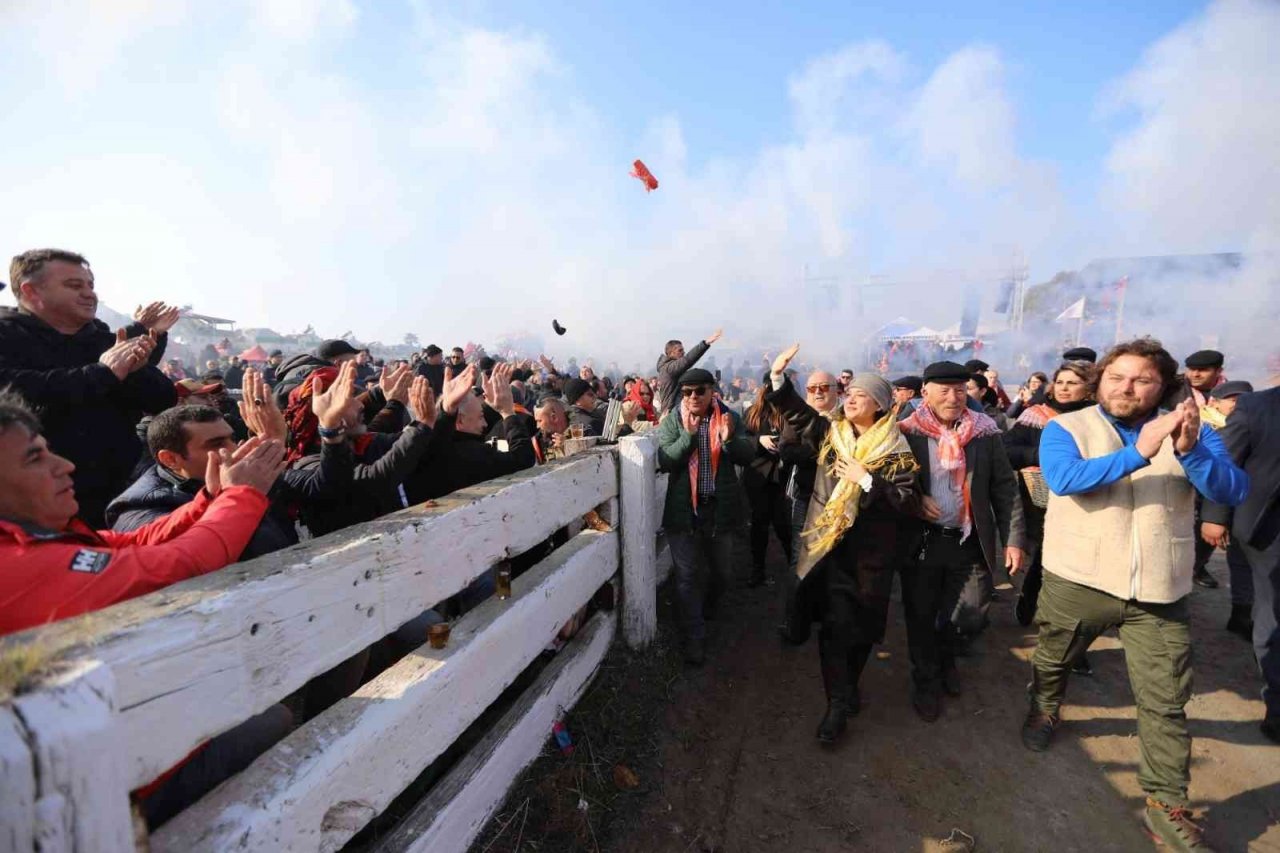 41. Uluslararası Efes Selçuk Deve Güreşleri Festivali sona erdi