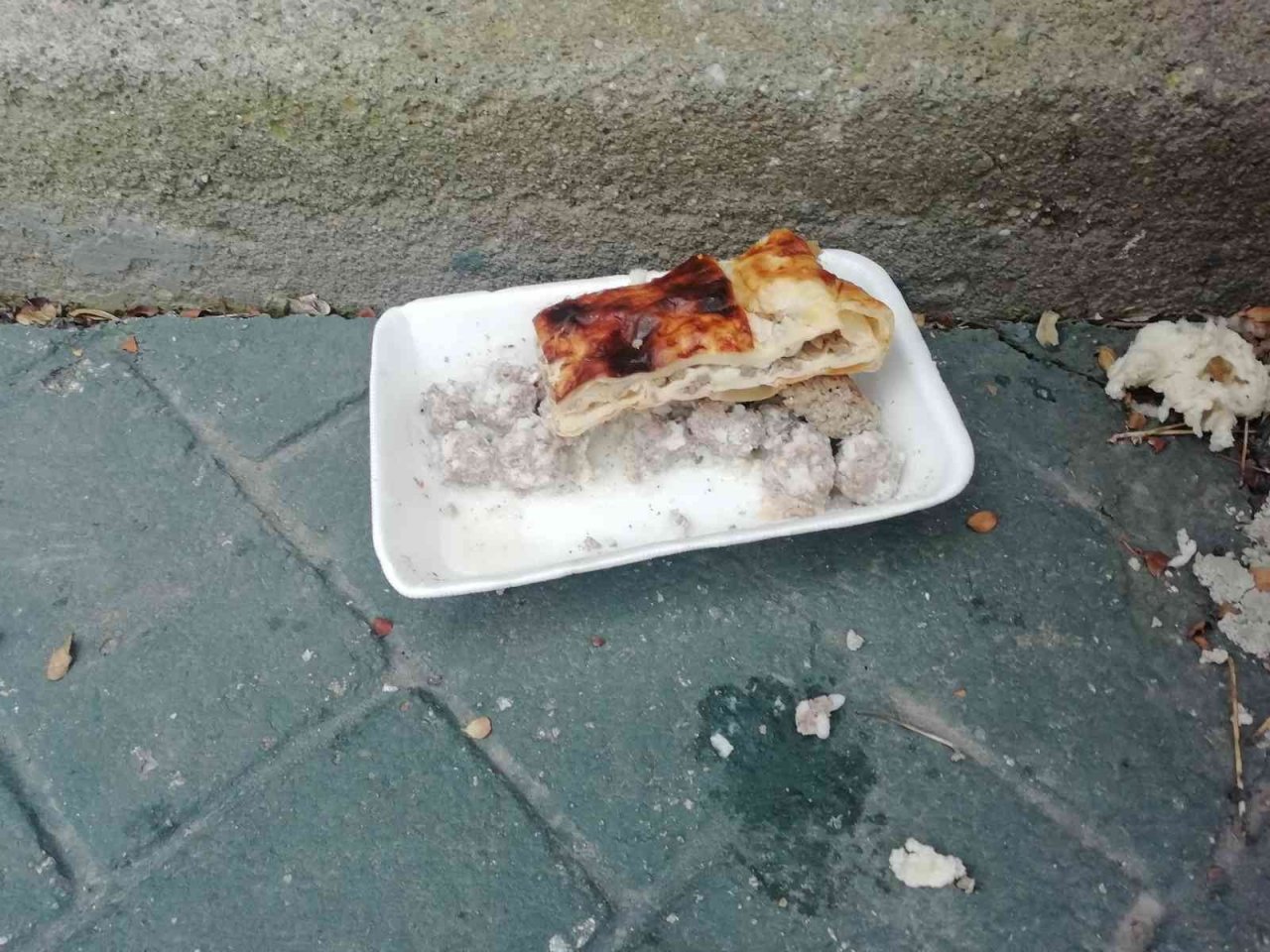 Atık yemekler hayvanlara yarar değil zarar veriyor