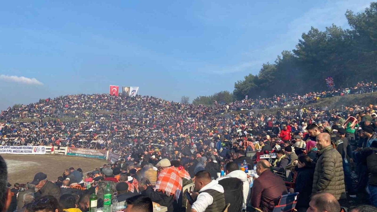 Uluslararası Deve Güreşleri Festivali’nde ilginç sıkıntı