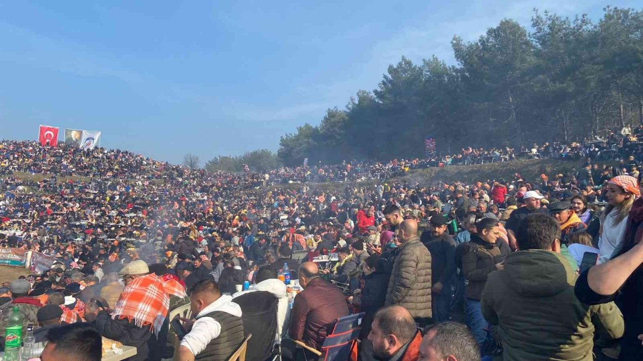 Uluslararası Deve Güreşleri Festivali’nde ilginç sıkıntı