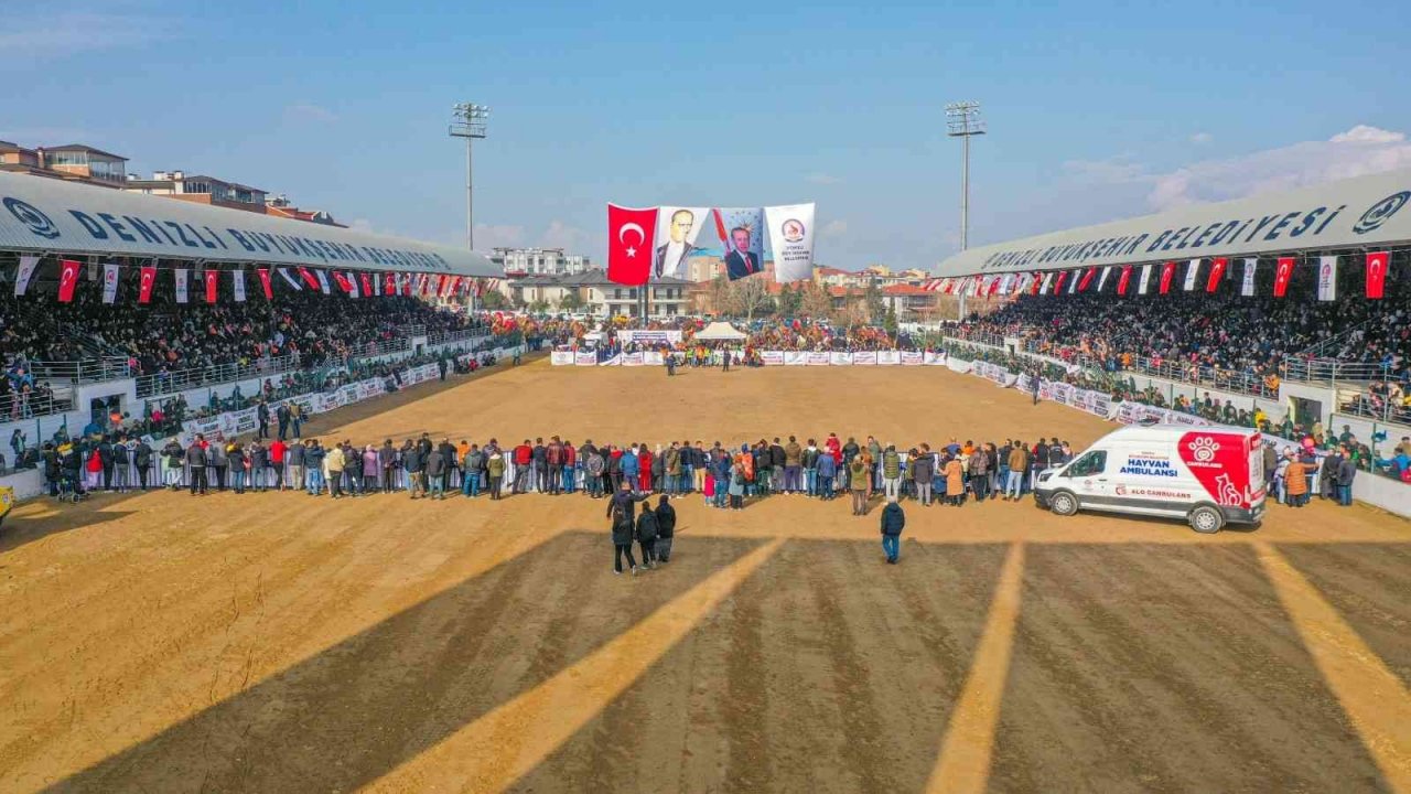 On binler deve güreşi heyecanını hep birlikte yaşadı