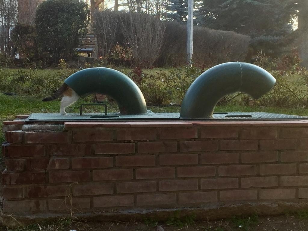 Soğuktan kaçmak için havalandırma boşluğuna girdi