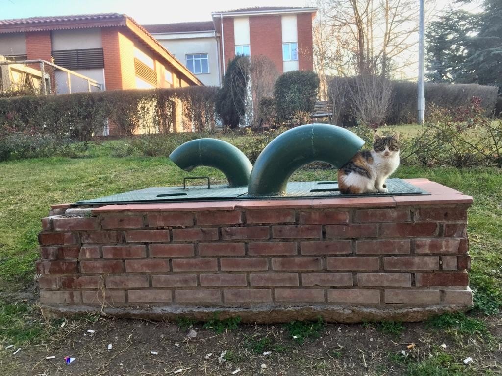 Soğuktan kaçmak için havalandırma boşluğuna girdi