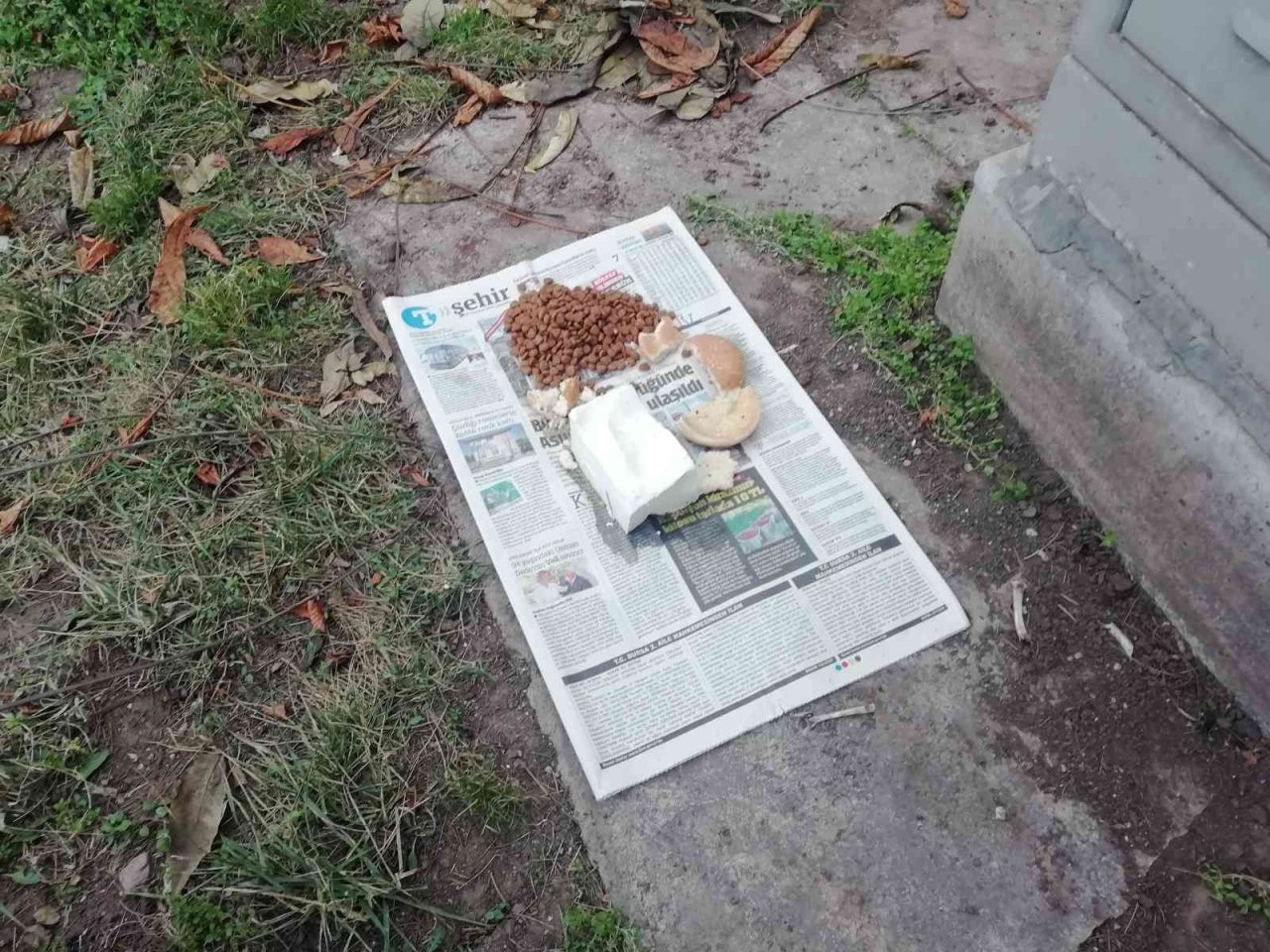 Atık yemekler hayvanlara yarar değil zarar veriyor