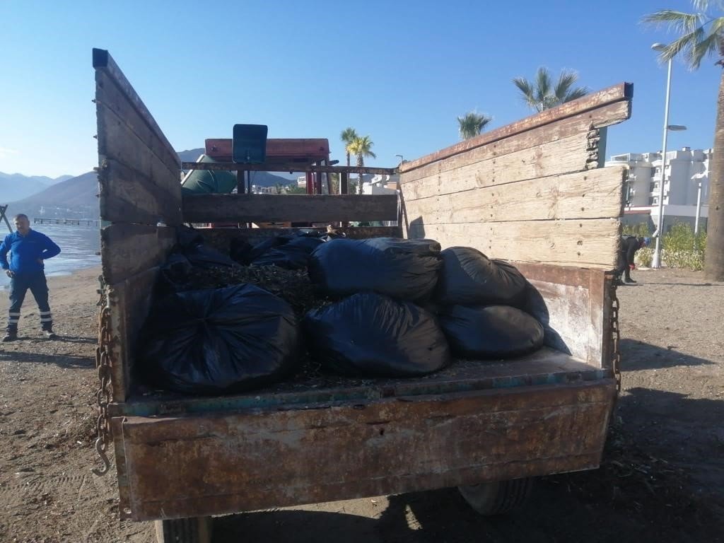 Marmaris sahilde temizlik çalışması yapıldı