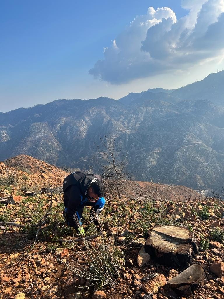 Marmaris’in zirvelerine motosikletleri ile çıkıp fidan diktiler