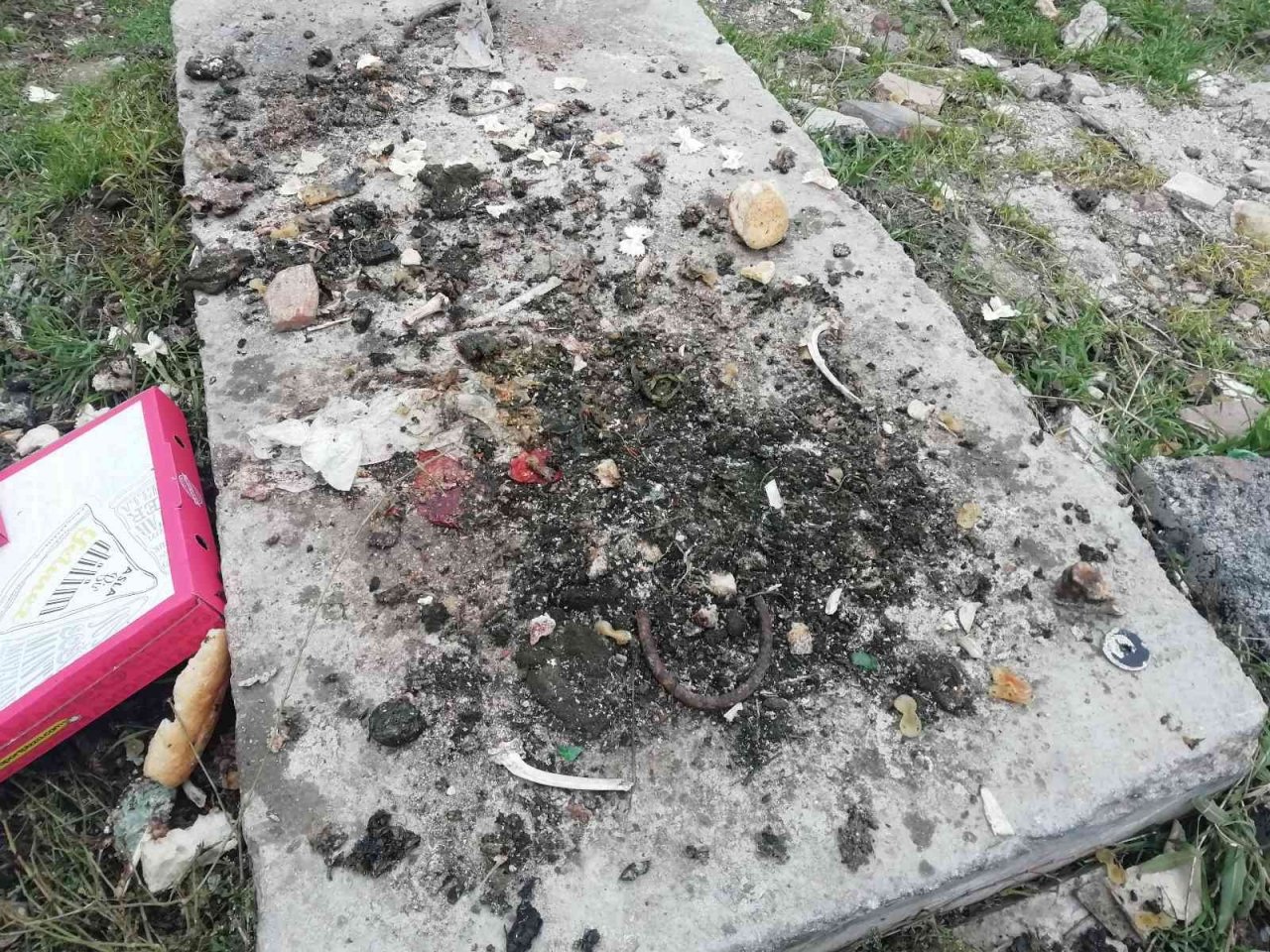 Atık yemekler hayvanlara yarar değil zarar veriyor