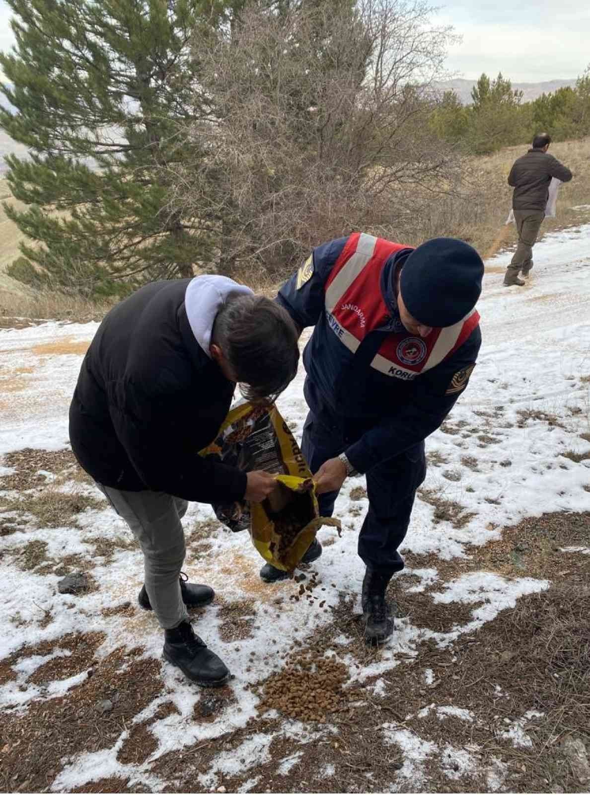Sivas’ta yaban hayatı unutulmadı