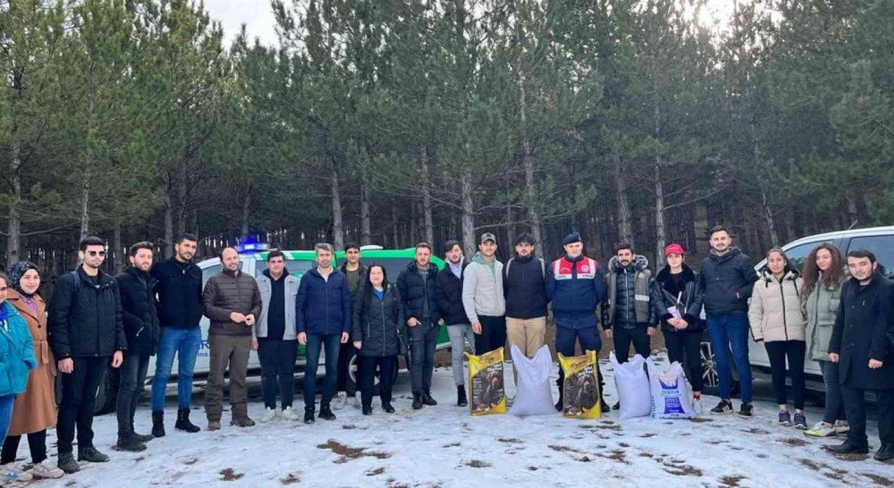 Sivas’ta yaban hayatı unutulmadı