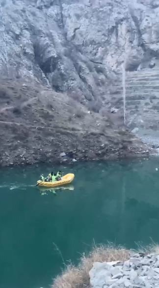 Sular altında kalacak Yusufeli’nden sokak köpeklerinin tahliyesi sürüyor