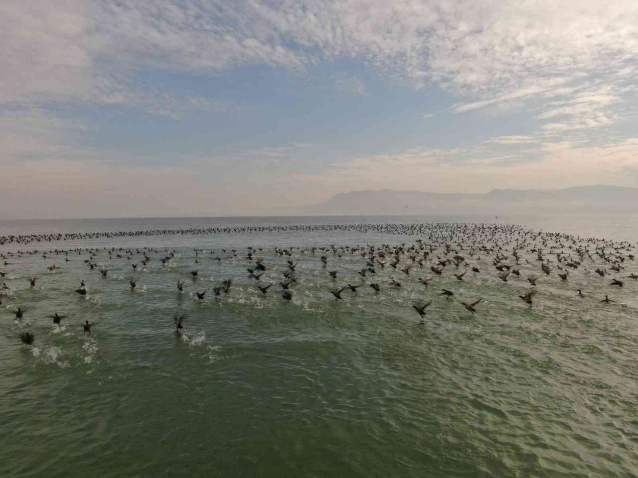 Göller bölgesinde kuşların izini sürüyorlar