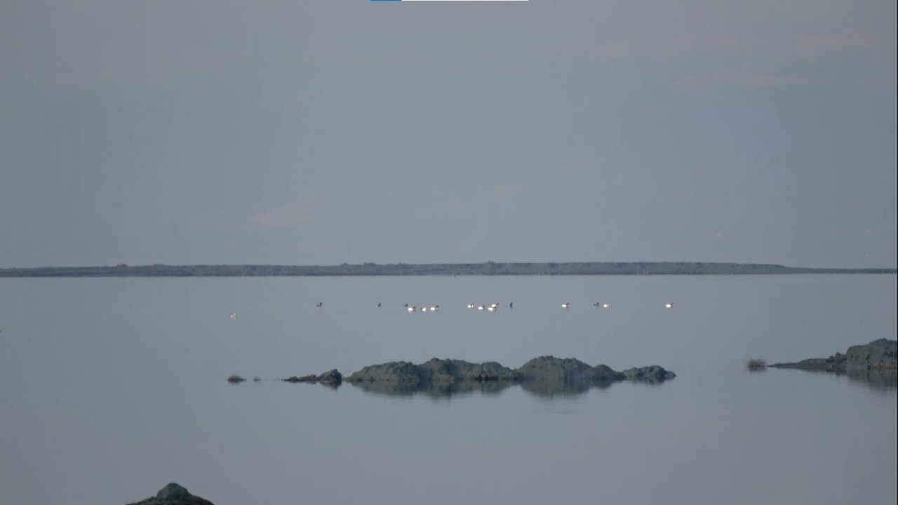 Göller bölgesinde kuşların izini sürüyorlar