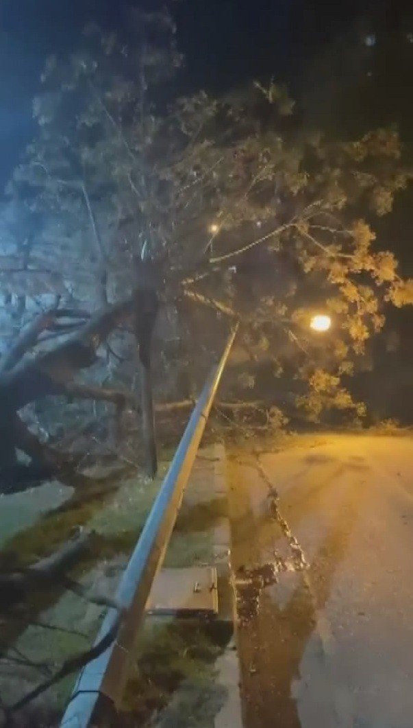 Bursa’da fırtına hayatı felç etti: Ağaçlar devrildi, otluk alan yangını depoya sıçradı