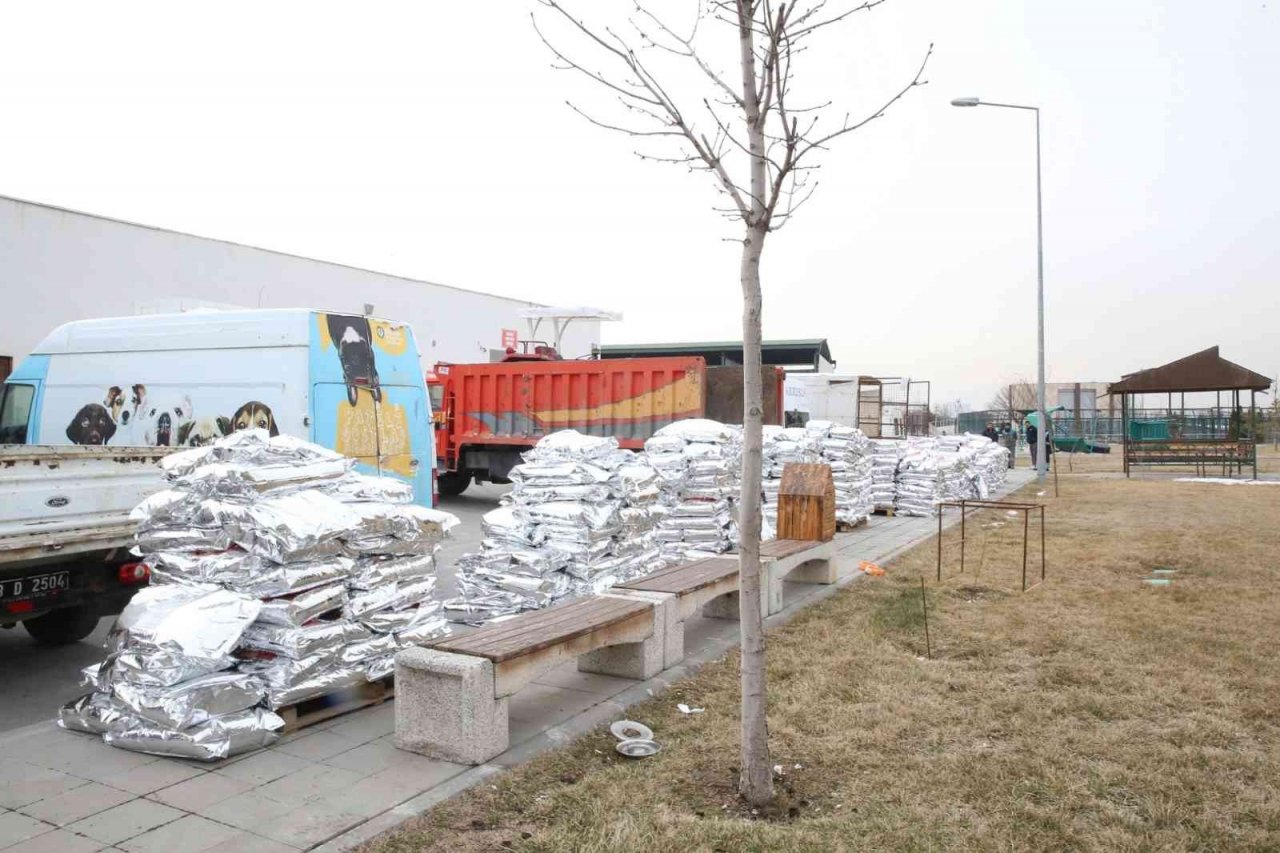 Büyükşehir, 1 Yılda 10 Bin Sokak Hayvanına Sahip Çıktı