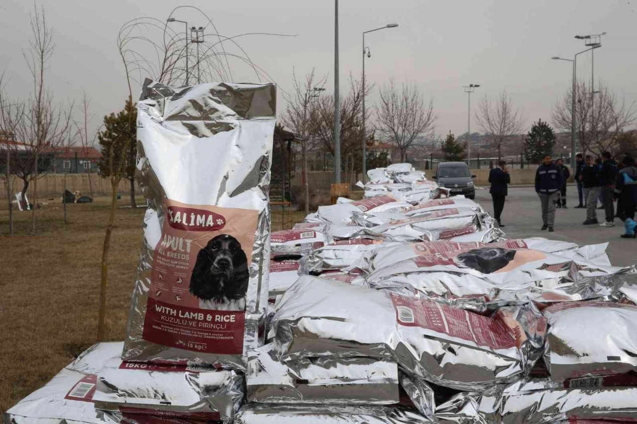Büyükşehir, 1 Yılda 10 Bin Sokak Hayvanına Sahip Çıktı
