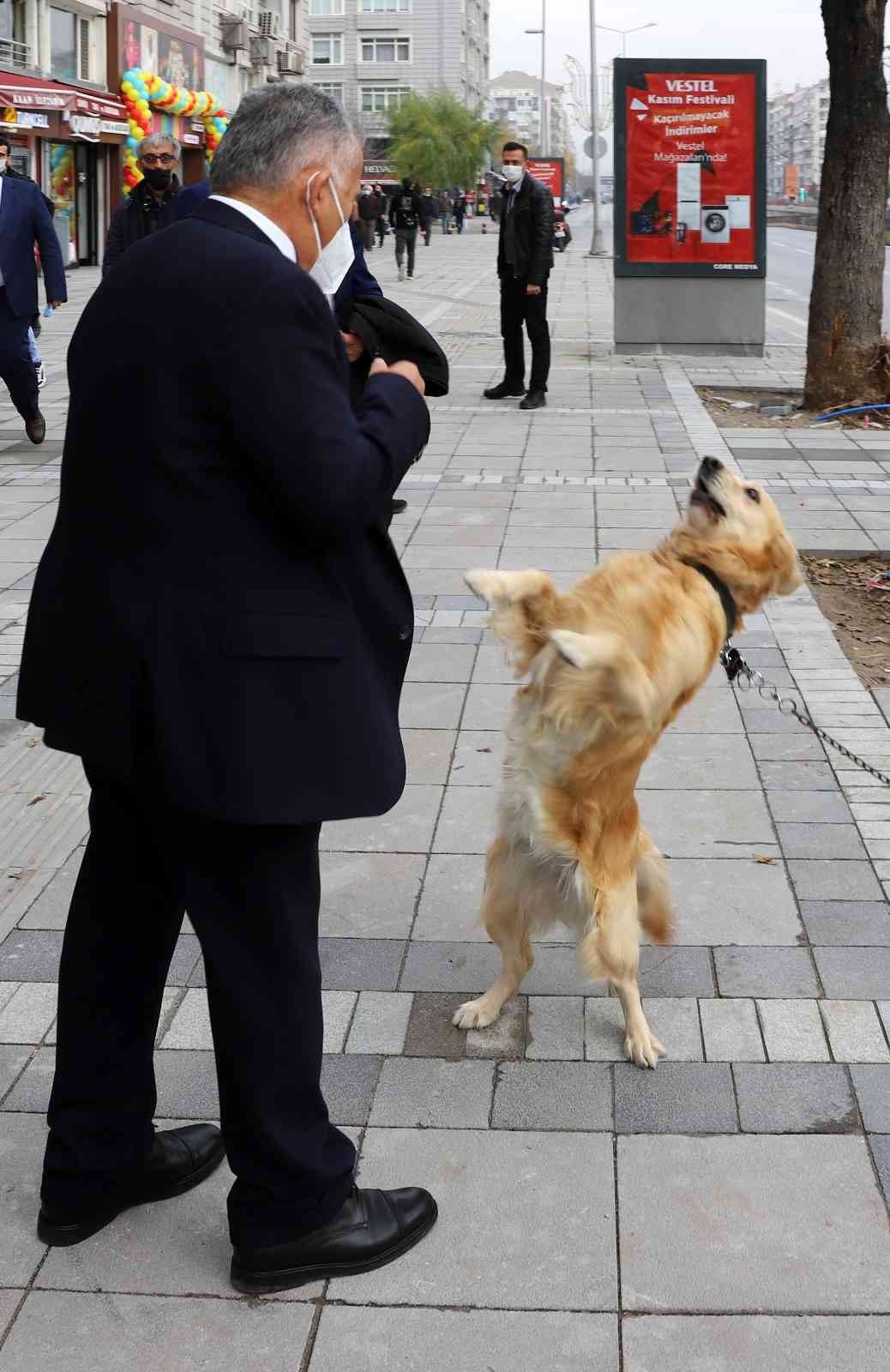 Büyükşehir, 1 Yılda 10 Bin Sokak Hayvanına Sahip Çıktı