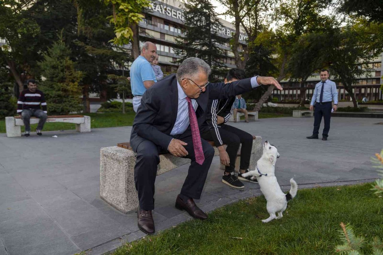 Büyükşehir, 1 Yılda 10 Bin Sokak Hayvanına Sahip Çıktı