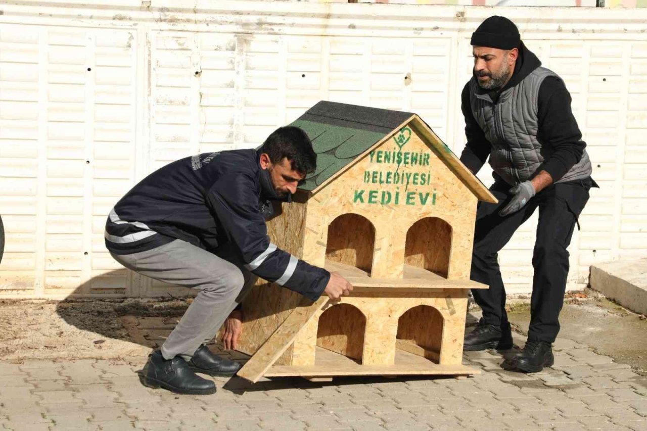 Diyarbakır’da sokak hayvanları için 200 adet ev yerleştirildi