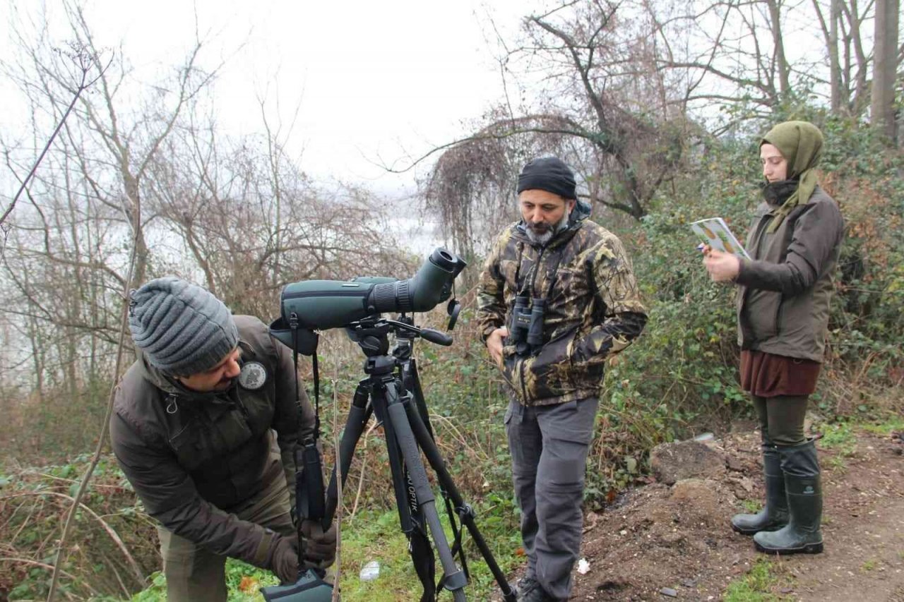 Efteni’de kuşlar sayıldı
