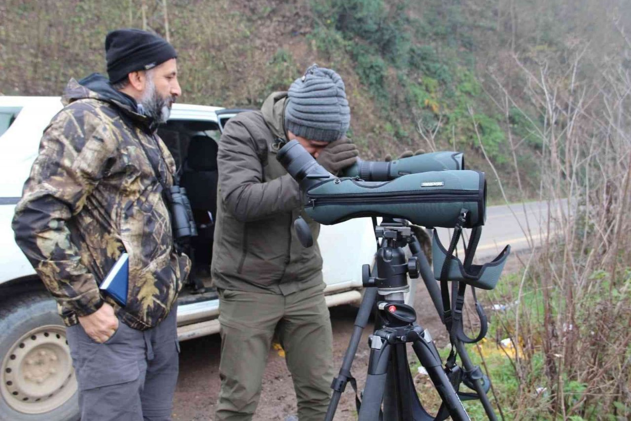 Efteni’de kuşlar sayıldı