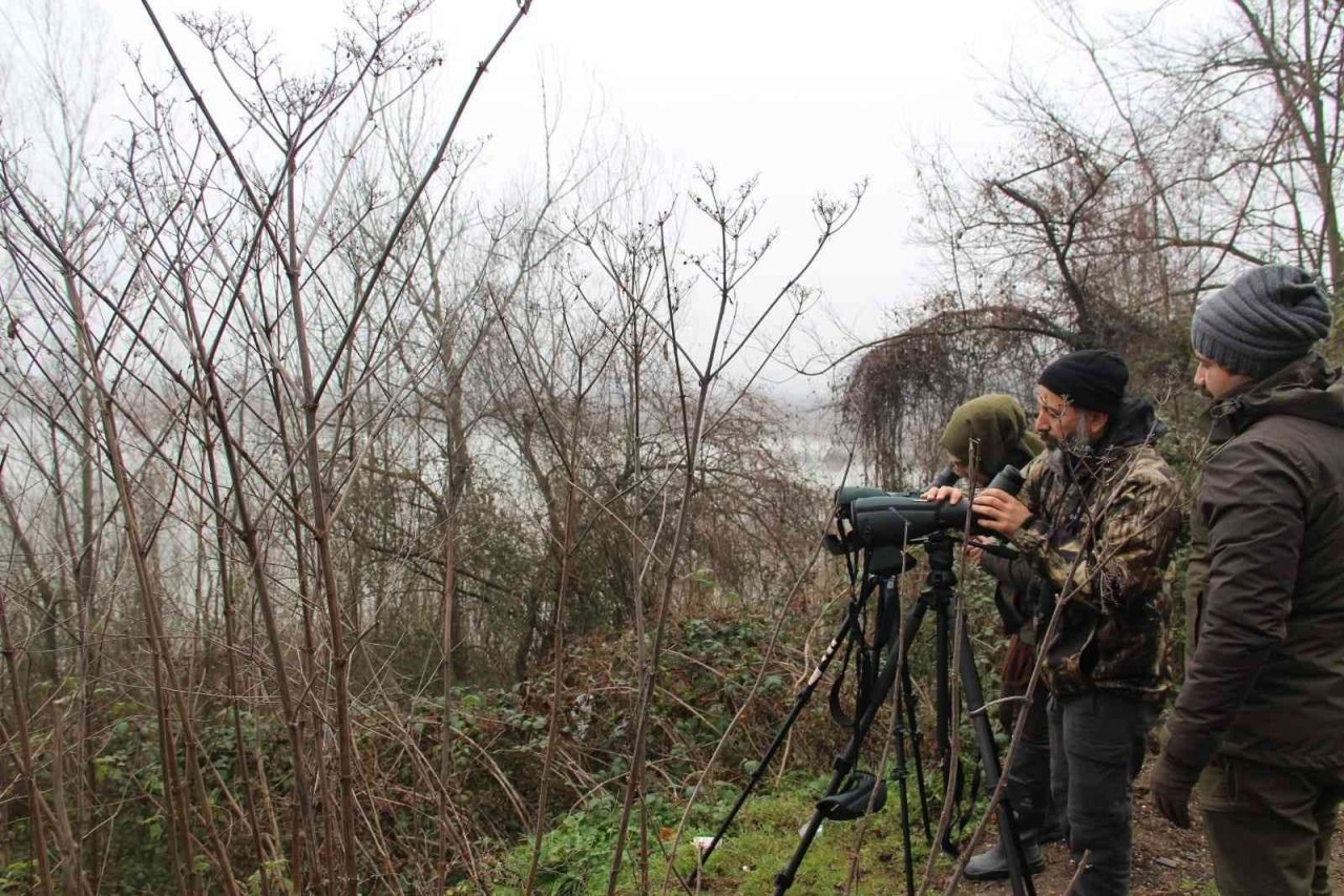 Efteni’de kuşlar sayıldı