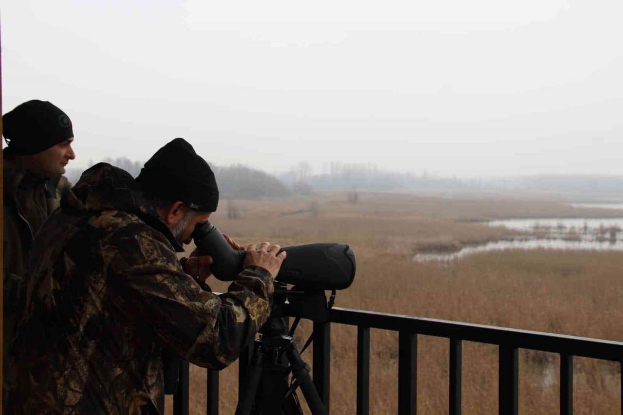 Efteni’de kuşlar sayıldı