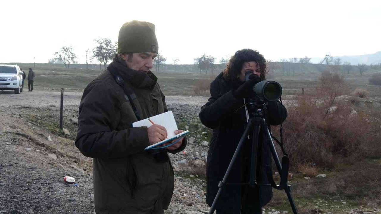 Göller bölgesinde kuşların izini sürüyorlar