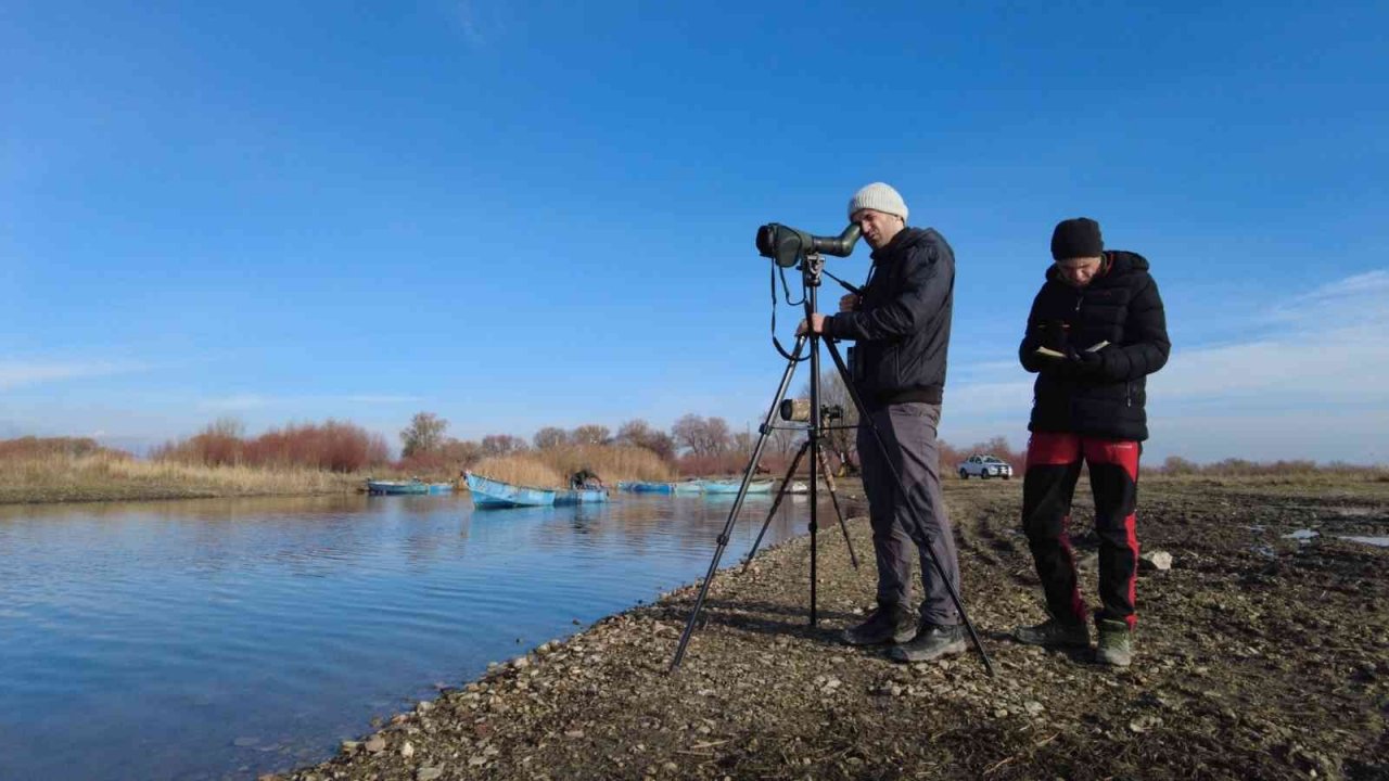 Göller bölgesinde kuşların izini sürüyorlar