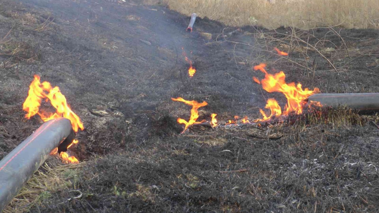 Isınmak için yaktığı ateş 45 dekar alanı kül etti