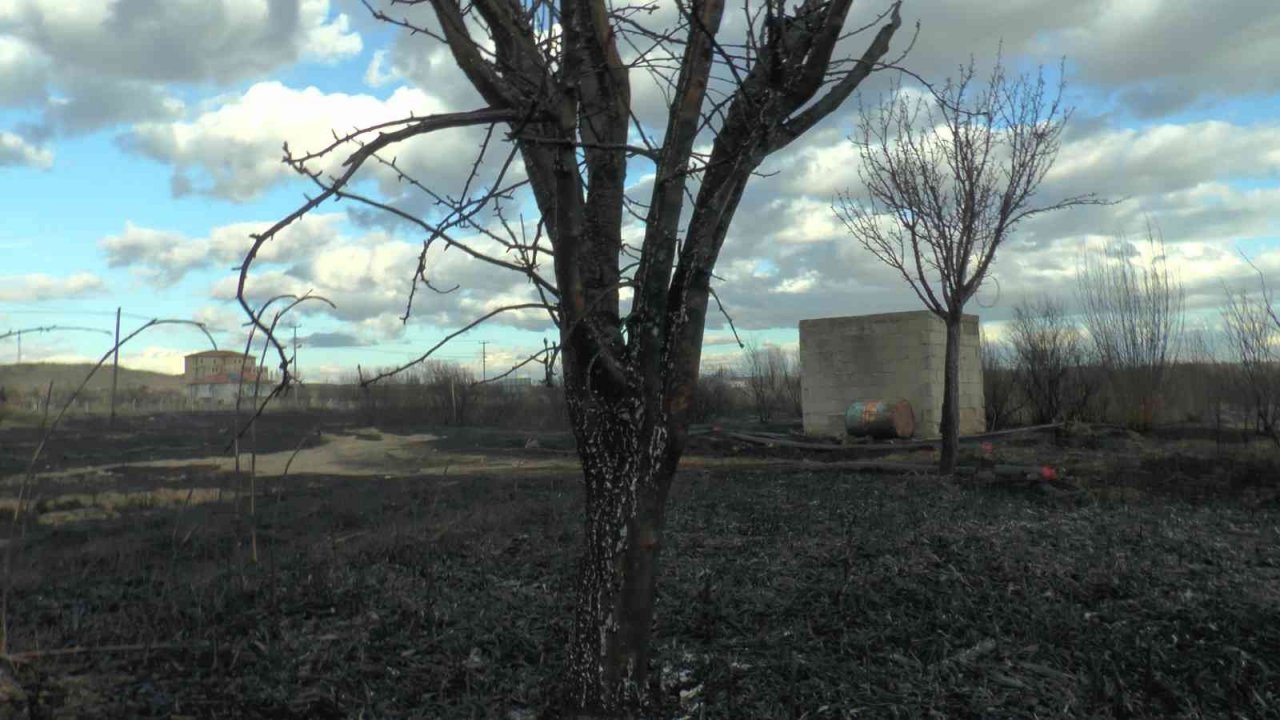 Isınmak için yaktığı ateş 45 dekar alanı kül etti