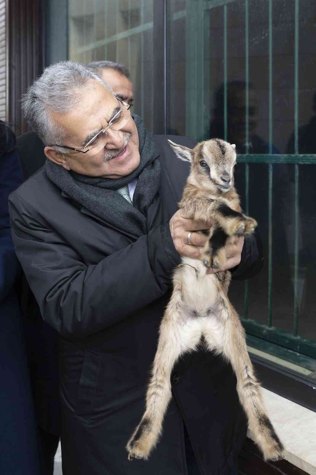 Büyükşehir Hayvanat Bahçesi’ne 1 yılda toplam 375 bin ziyaretçi