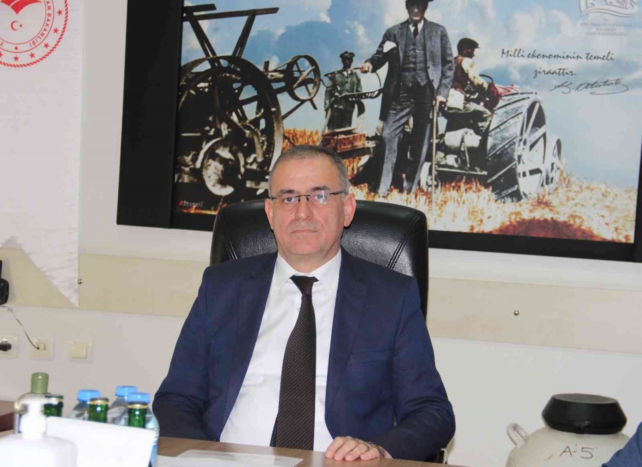 Aydın çiftçisi, ineklerin anasına bakıp kızını büyüterek işletmeleri genişletecek