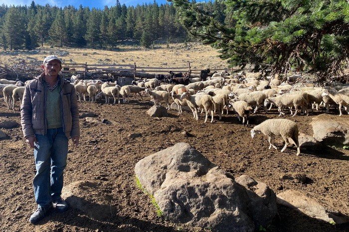 Bolu’da 70 aileye 4 milyon 600 bin TL destek kredisi verildi