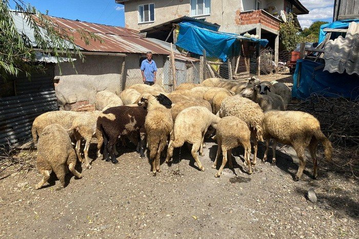 Bolu’da 70 aileye 4 milyon 600 bin TL destek kredisi verildi