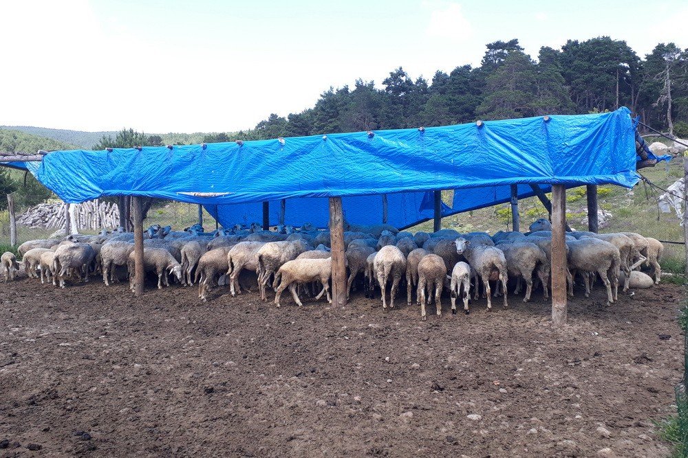 Bolu’da 70 aileye 4 milyon 600 bin TL destek kredisi verildi