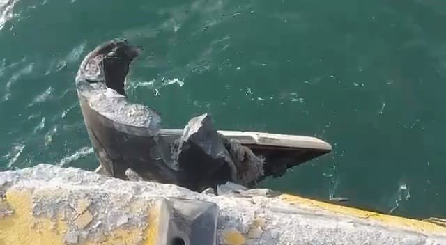 Amasra’ya gelen Rus Kruvaziyer liman usturmaçalarına çarptı