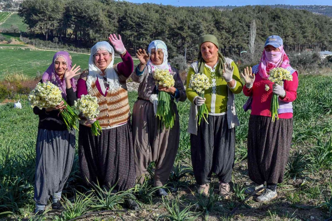 Mersin’de Nergis Festivali düzenlenecek