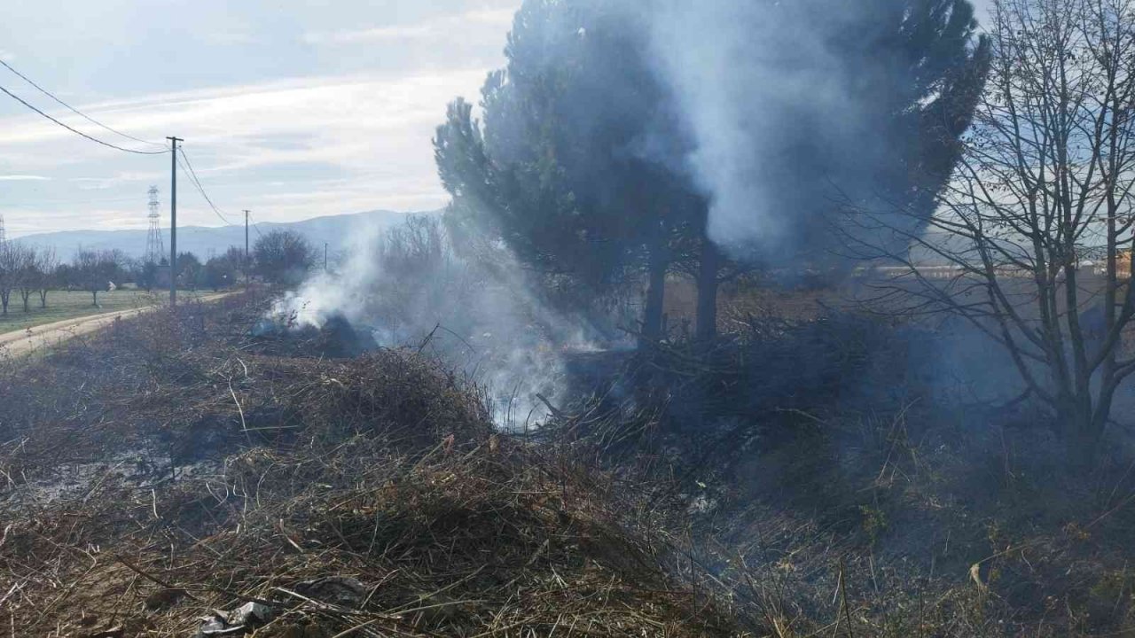Bursa’da daha önce kesilmiş ağaçlar tutuştu